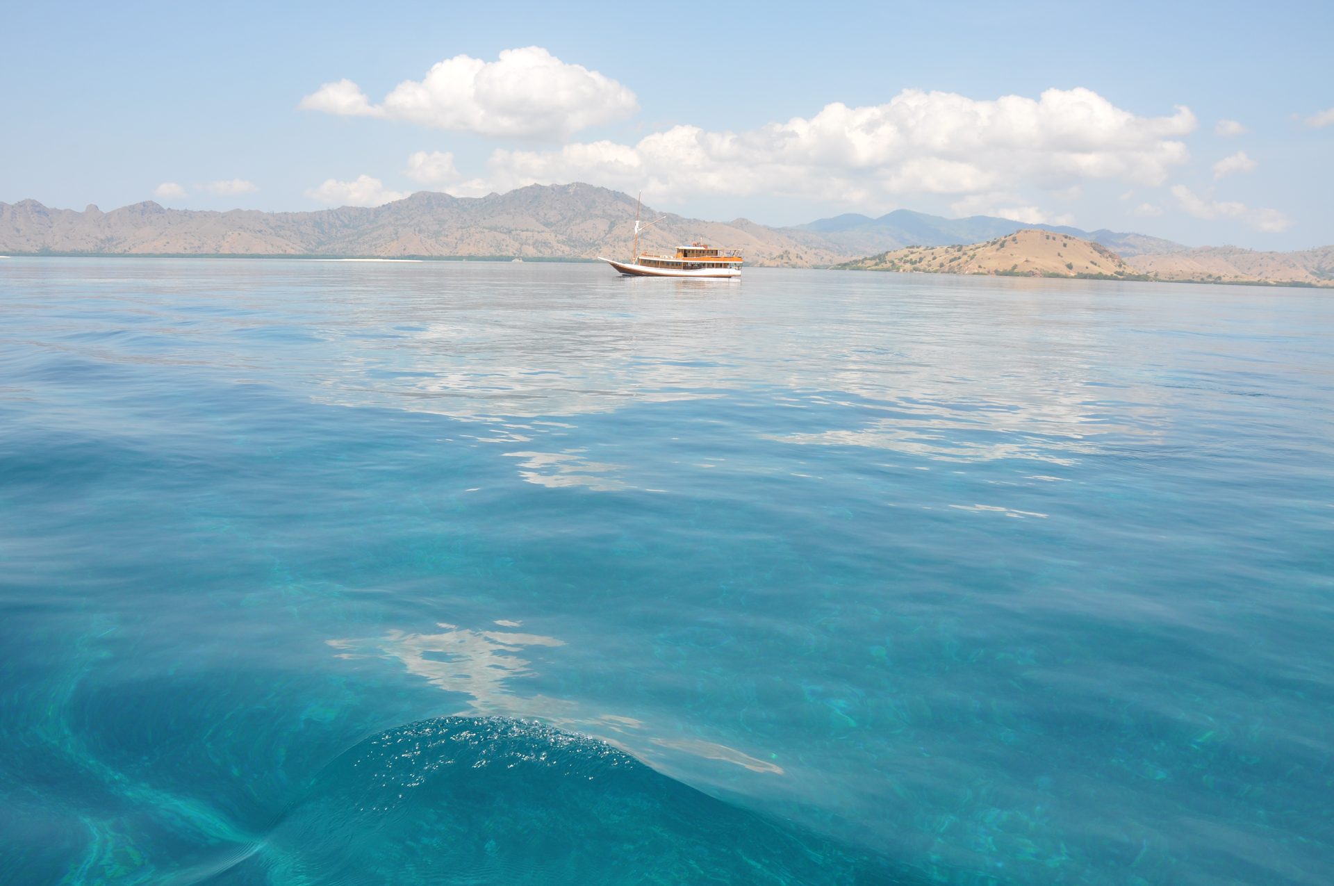 Marine ecosystem of Komodo National Park showing coral reef and tropical fish